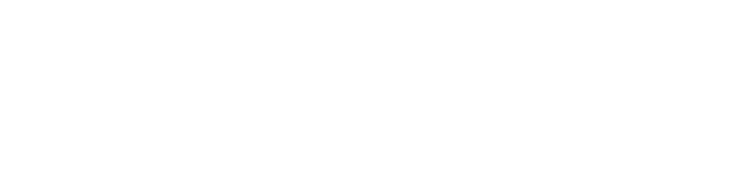 logo_bile_velke